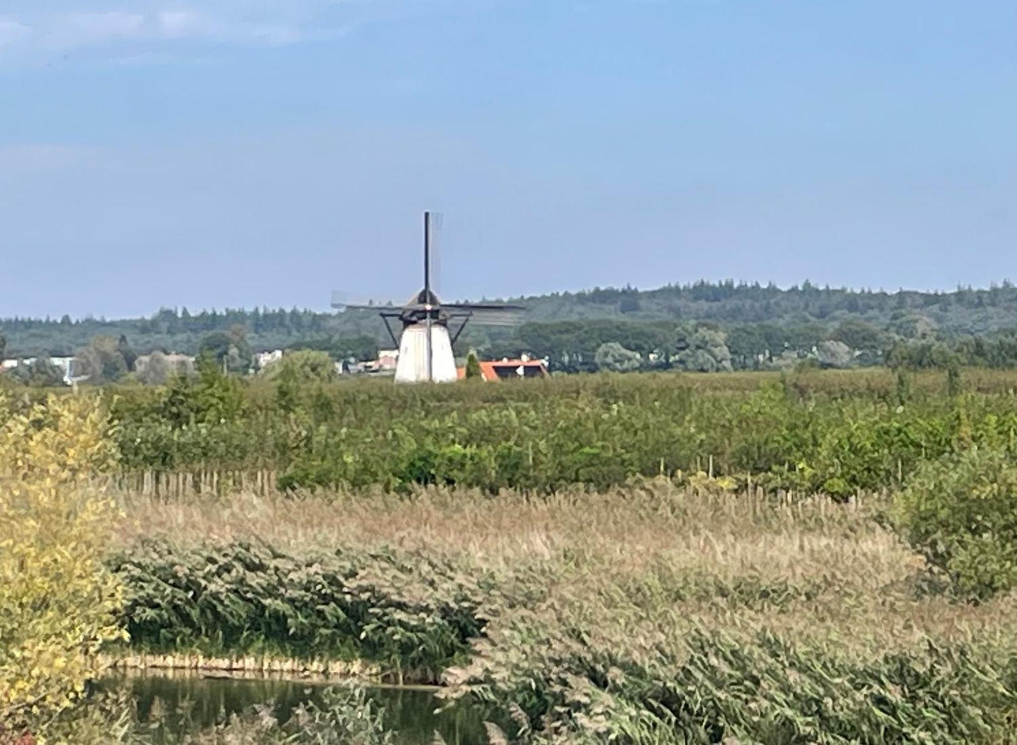 Bed and Breakfast Pipowagen Mamaloe Kesteren Zewnętrze zdjęcie